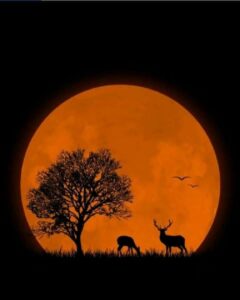 red moon, deers, and a tree
